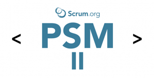 PSM-II Valid Mock Exam